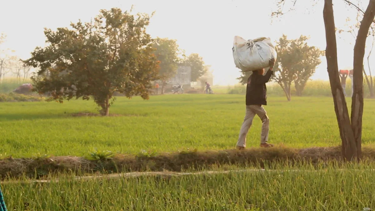 Top Sprinter Van Models Compared for 2025 Buyers