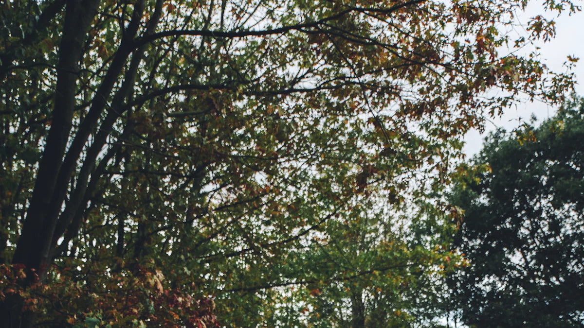 Transform Your BMW M5 F90 with Carbon Fiber Front Lip