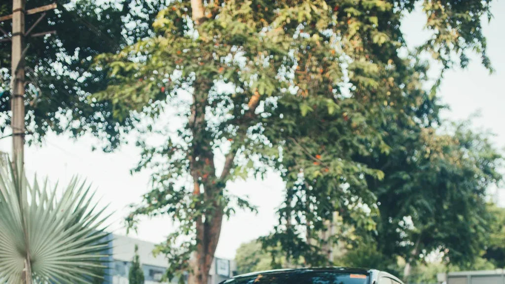 2025 Audi S5 vs 2024 Audi S5 Key Differences Explained