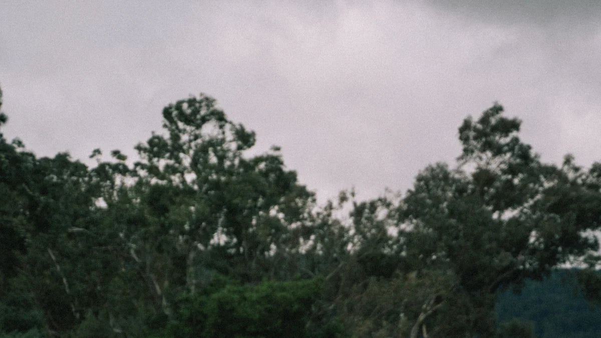 Exploring the History and Impact of the Mercedes-Benz Sprinter Van