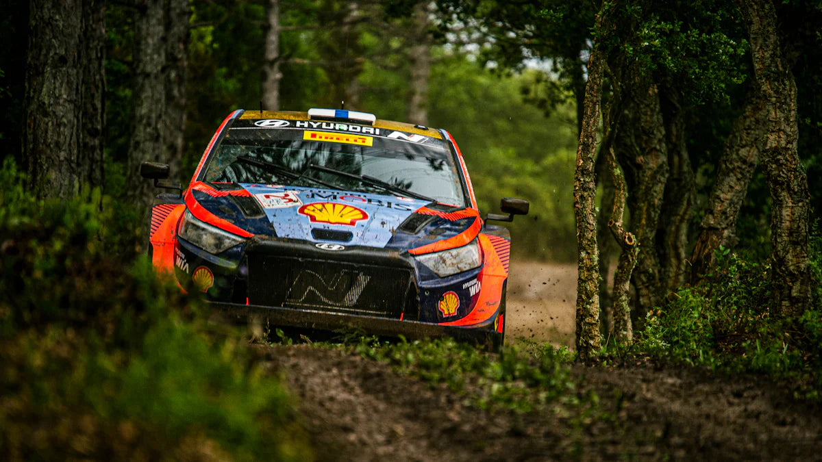 What Sets the Rally Driving Experience Apart
