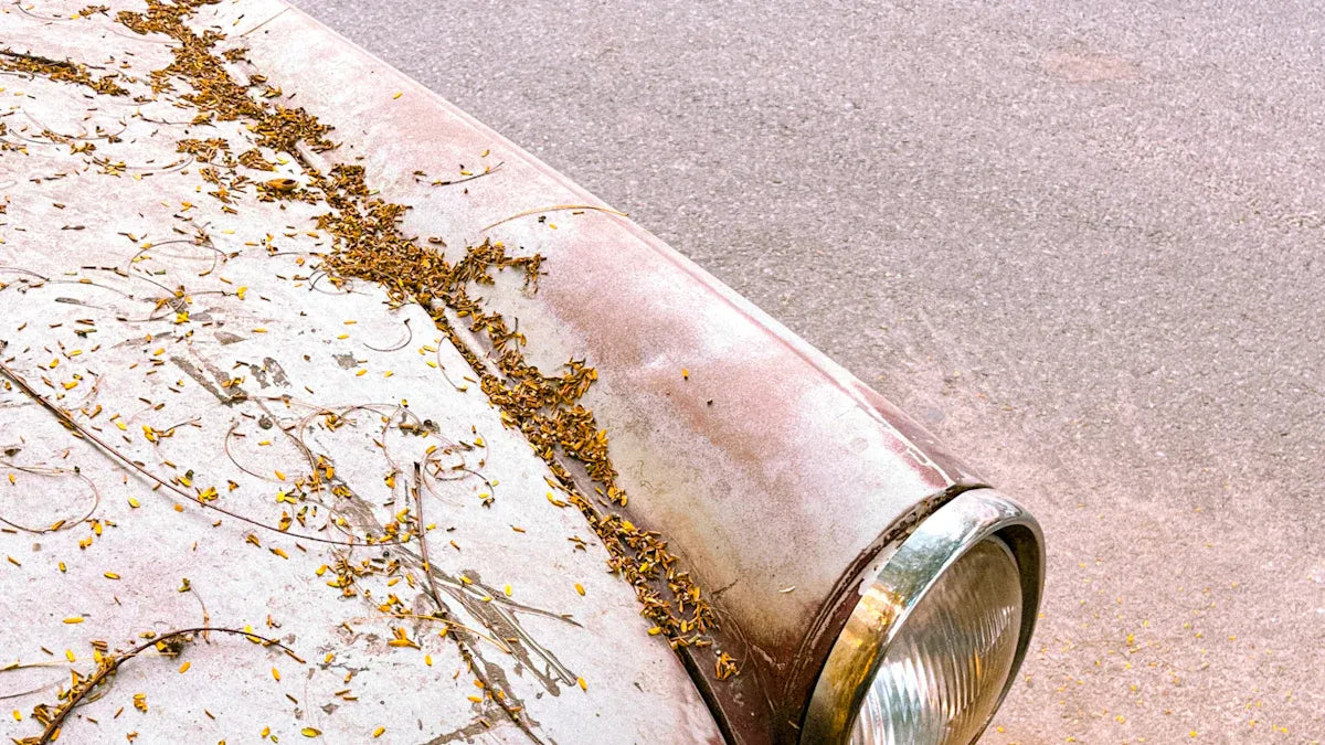 Never Ignore Sun-Damaged Car Paint Again