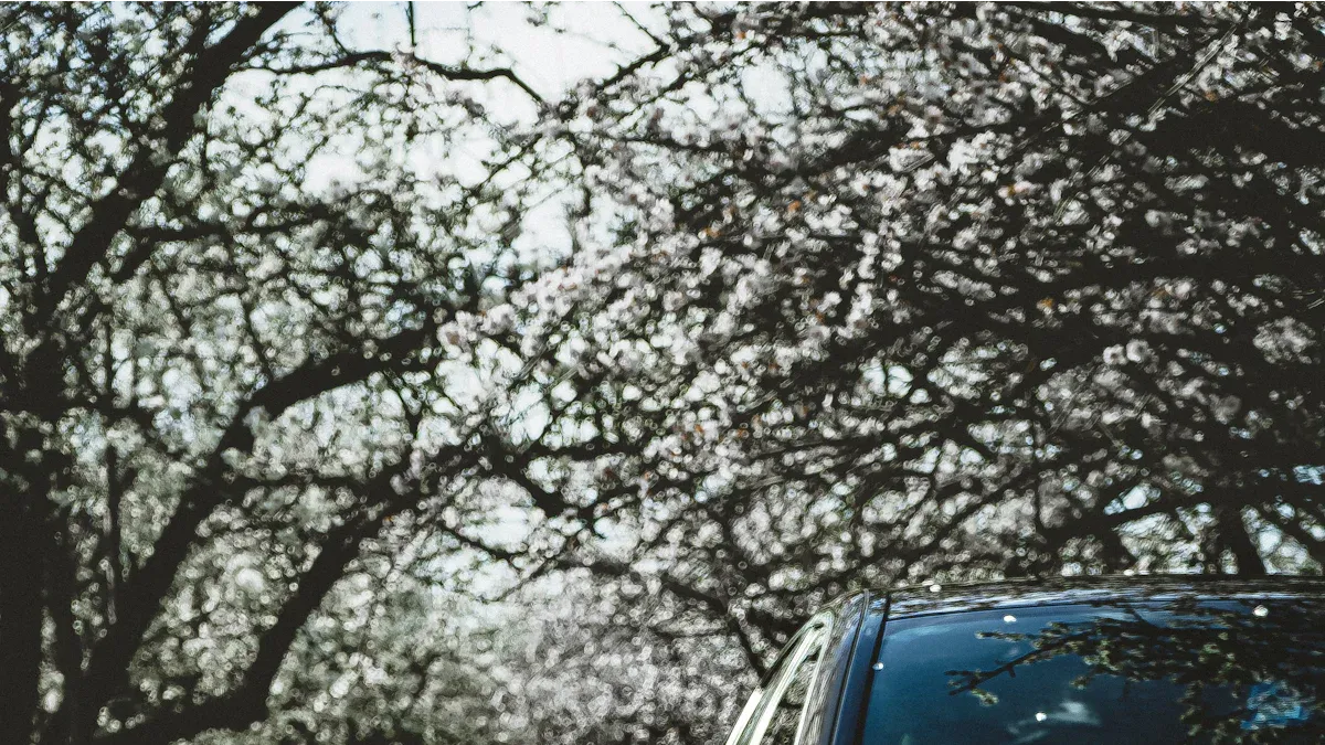 GLC Coupe vs GLC SUV Cargo Space Comparison 2025