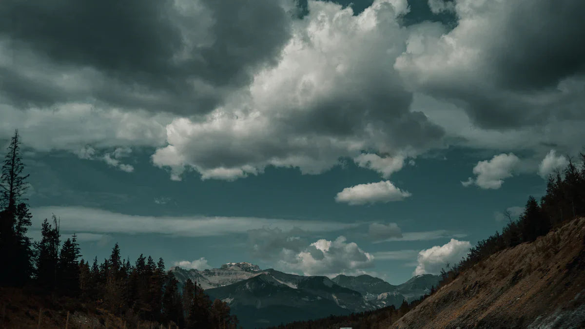 Exploring the Real-World Efficiency of the BMW X5 45e