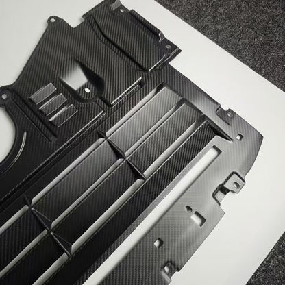 CarbonXtreme BMW Carbon fiber Oil Cooler Guard Plate / Skid Plate