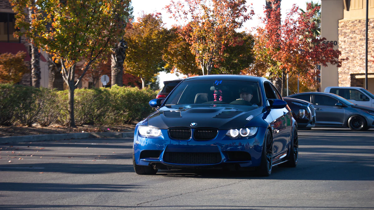 Aesthetic Enhancements of a BMW Front Lip